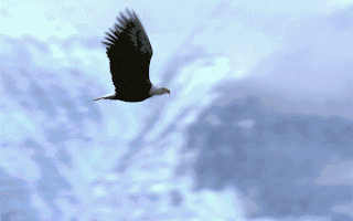 晚上市公司动态6家利好公告引关注3家公司面临挑战